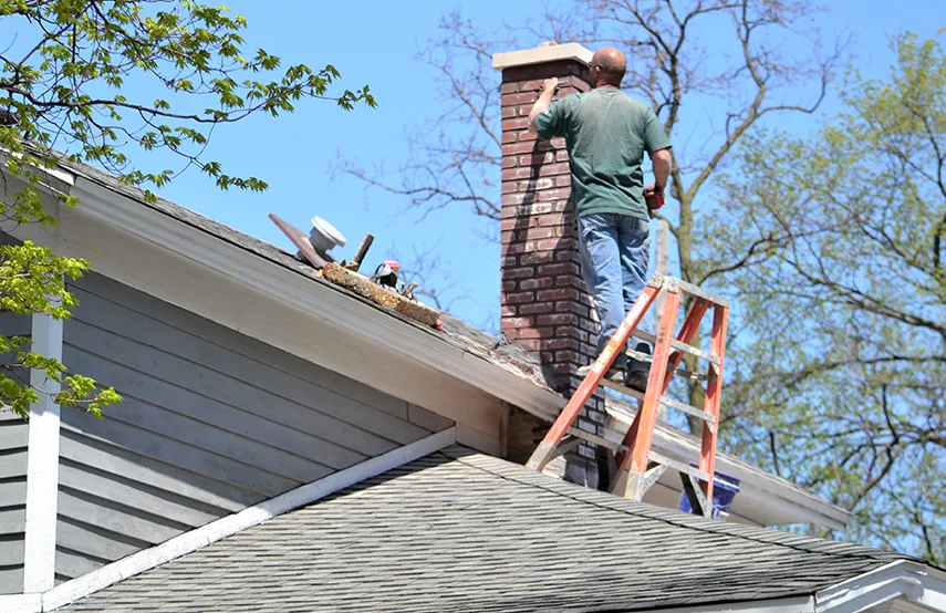 Chimney & Fireplace Inspections Services in New Brighton, MN